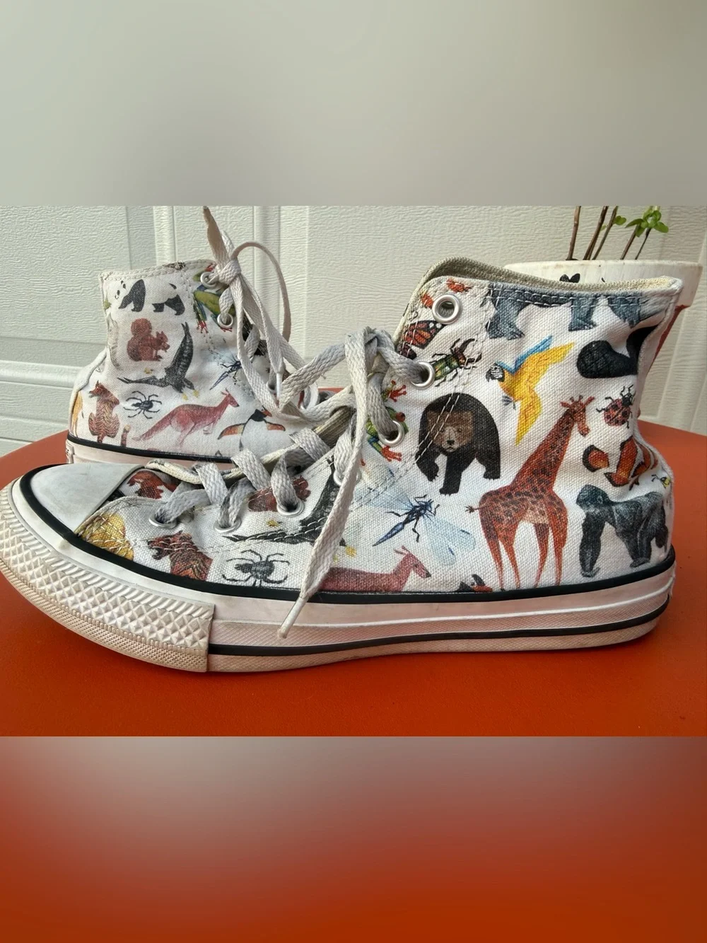 Converse Junior Chuck Taylor All Star Hi sneakers Science Class / Zoo Animals 5